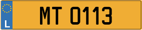 Trailer License Plate